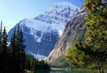 足球盛宴再度上演，越战越勇势不可挡，团结合作的简单介绍